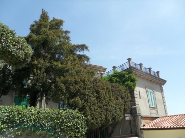 Palazzo Tullio-Cataldo, particolare